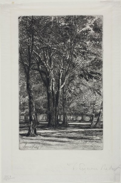 Jardins de Kensington, No. II (grande planche) - Francis Seymour Haden