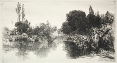 Étang de Shere Mill (la grande planche) - Francis Seymour Haden