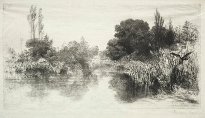 Shere Mill Pond (La Grande Plaque) - Francis Seymour Haden