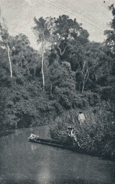 Rio de S. Anastacio, 1895 - Francisco Henszler