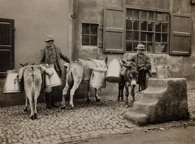 Ânes laitiers - Frank Meadow Sutcliffe