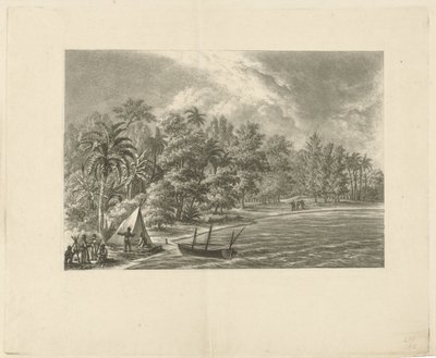 Paysage tropical - François Joseph Pfeiffer (II)