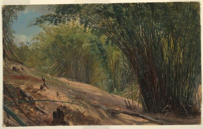 Bosquet de bambous, Jamaïque - Frederic Edwin Church