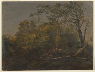 Bois du Maine - Frederic Edwin Church