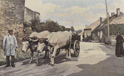 Saulieu, Un attelage dans le Morvan - French Photographer