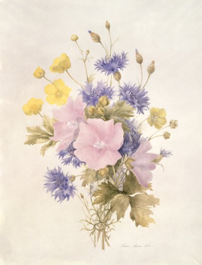 Fleurs des champs, 1842 - French School