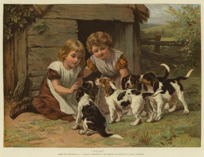 Chiots - George Augustus Holmes