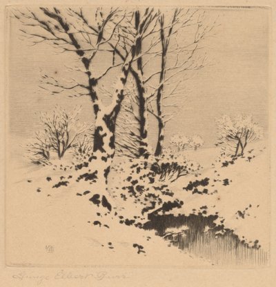 Neige - George Elbert Burr