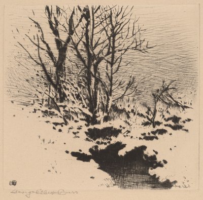 La première neige (n°2) - George Elbert Burr