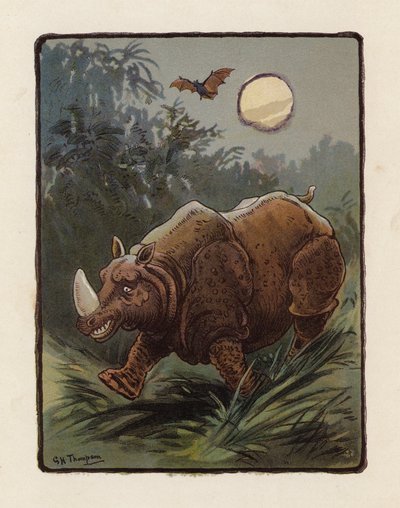 Rhinocéros - George Henry Thompson