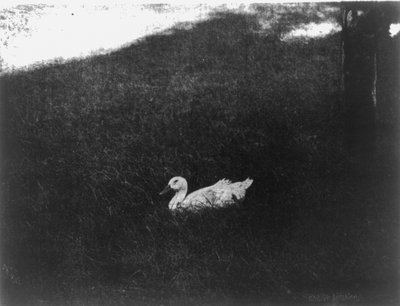 La vie simple - Gertrude Käsebier