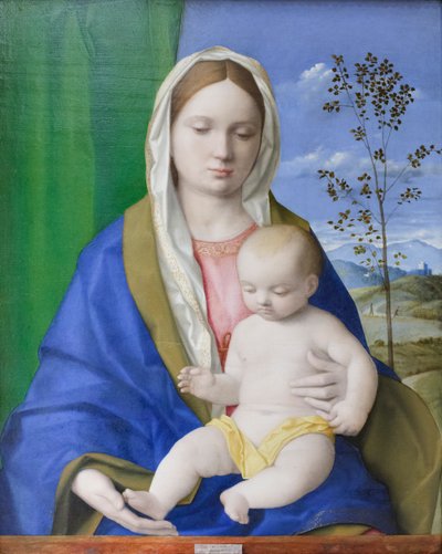 Madone et Enfant, c.1500 - Giovanni Bellini