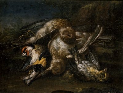 Oiseaux morts - Giovanni Benedetto Castiglione