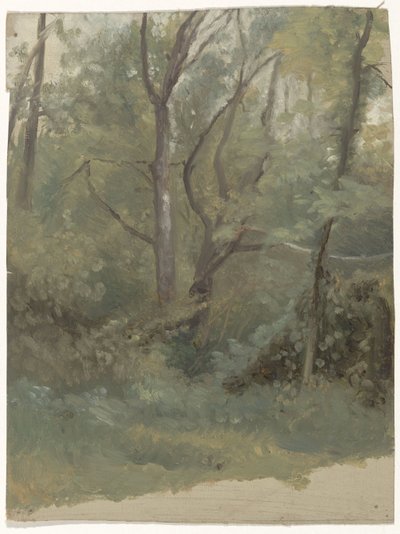 Paysage forestier - Guillaume Anne van der Brugghen