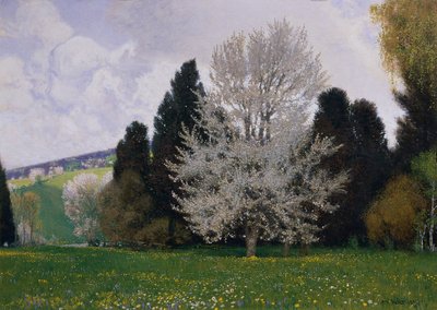 Printemps dans la forêt viennoise - Hans Wilt