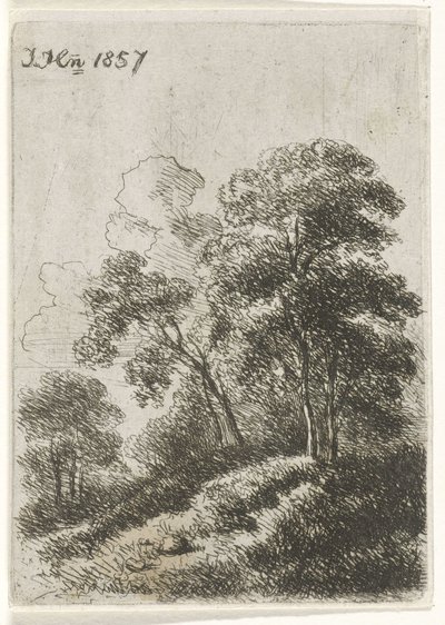 Arbres sur une colline - Hendrik Jan Hein