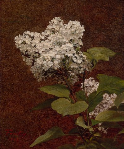 Lilas blancs - Ignace Henri Jean Fantin Latour