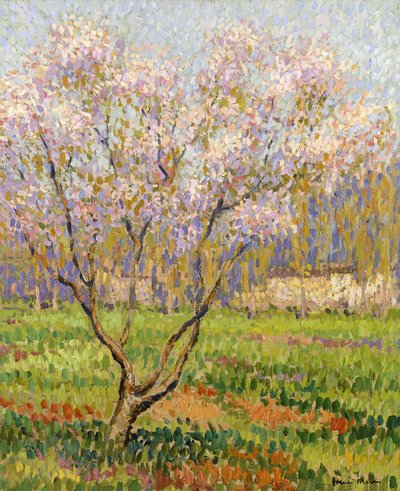 Pommiers en fleurs - Henri Martin