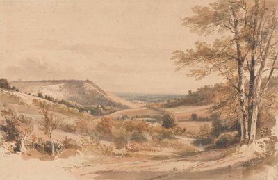 Boxhill depuis Westhumble Lane - Henry Edridge