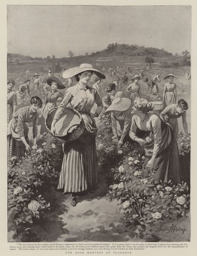 La récolte des roses à Florence - Herbert Johnson