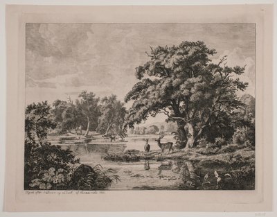 Paysage dans la forêt de Hellebæk - Hermann Carmiencke