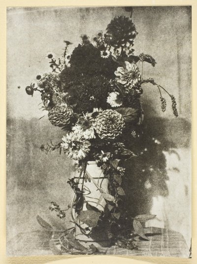 Bouquet de fleurs - Hippolyte Bayard