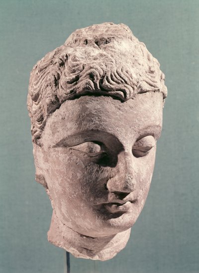 Tête de Bouddha, Gandhara, 2e-4e siècle - Indian School