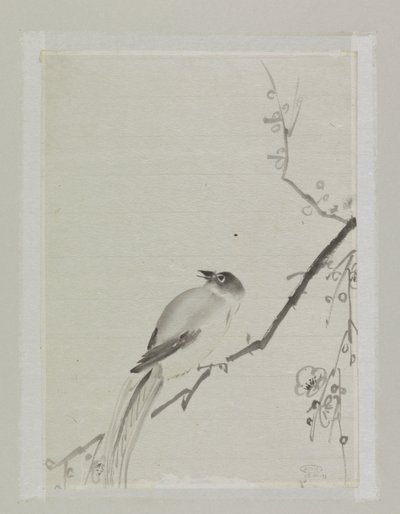 Oiseau sur une branche de cerisier - Ishikawa Kazan