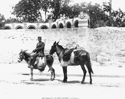 Un Campiere, Palerme, vers 1920 - Italian Photographer