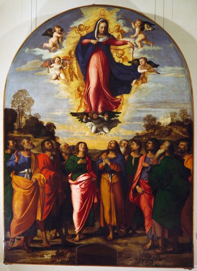 Assomption de la Vierge - Jacopo (c.1480 1528) Palma