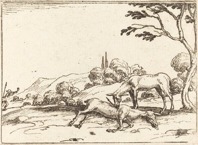 Biche pleurant son faon - Jacques Callot