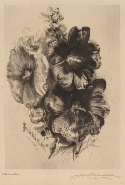 Hollyhocks simples foncées - James David Smillie