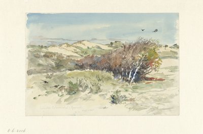 Paysage de dunes entre Bloemendaal et IJmuiden - Jan Hoynck van Papendrecht