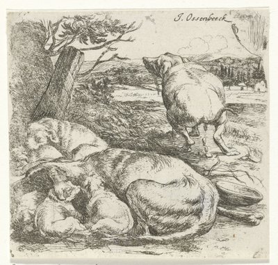 Chienne avec chiots - Jan van Ossenbeeck