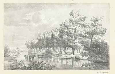 Paysage avec vaches pataugeant - Jean Bernard