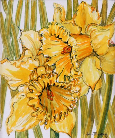 Deux Jonquilles, 2001 - Joan Thewsey