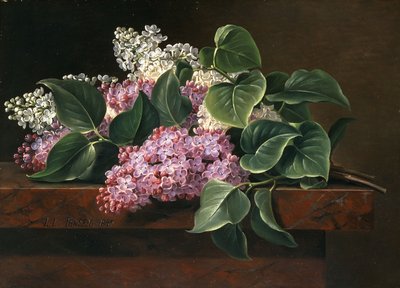 Lilas sur un rebord - Johan Laurents Jensen