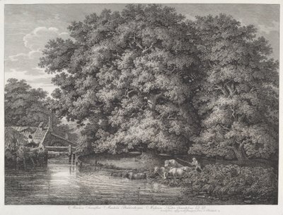 Le Moulin aux grands chênes - Johann Christian Reinhart