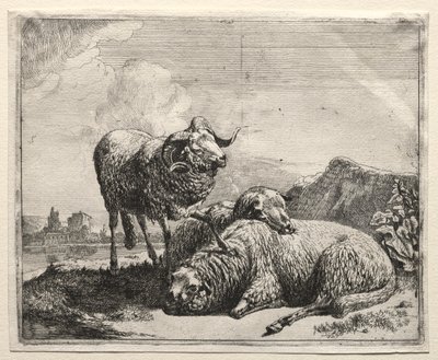 Bélier et Deux Moutons - Johann Heinrich Roos