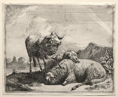 Bélier et deux moutons, 1665 - Johann Heinrich Roos