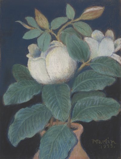 Fleurs de magnolia, 1933 - John Breckinridge Martin