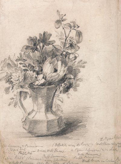 Fleurs dans un pichet - John Constable