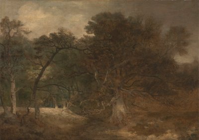 Paysage boisé près de Norwich - John Crome