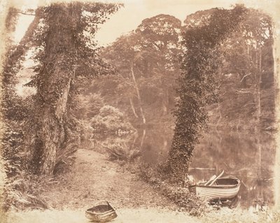 Lac supérieur, 1853-56 - John Dillwyn Llewelyn