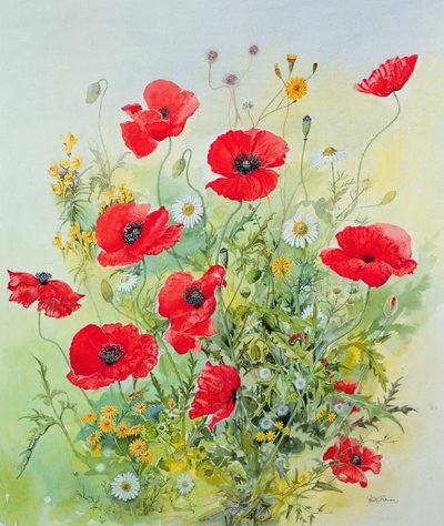 Coquelicots et camomille - John Gubbins