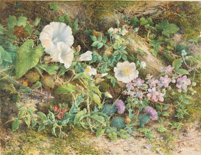 Étude de fleurs - John Jessop Hardwick