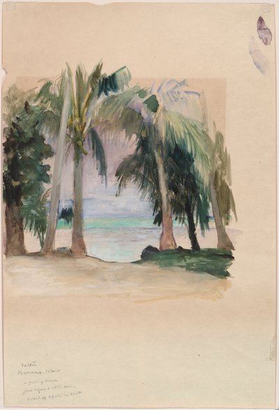 Palmiers au bord de la mer - John La Farge