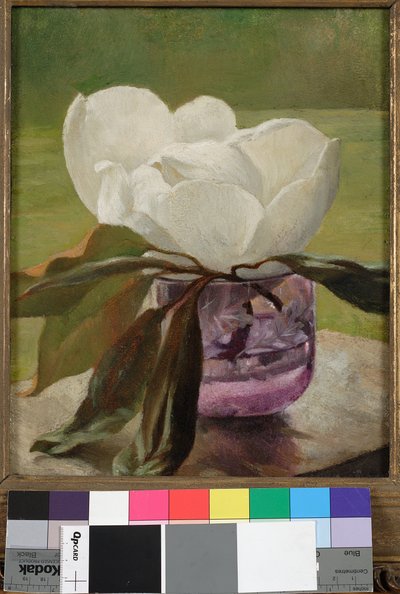 Fleur de magnolia - John La Farge or Lafarge