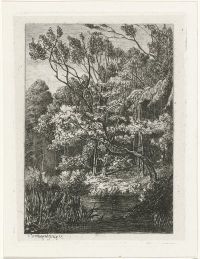 Paysage forestier - Joseph Hartogensis