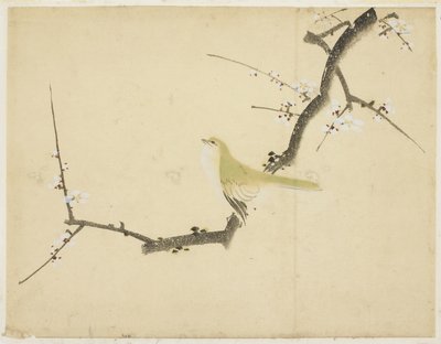 Rossignol sur une branche de prunier - Katsushika (school of) Hokusai